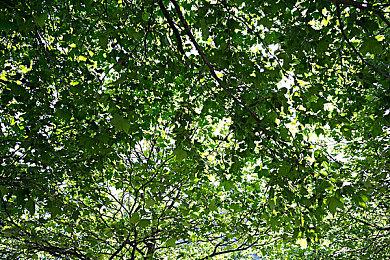 《VR战士5》1.20版本更新今日上线 新增淘汰赛模式